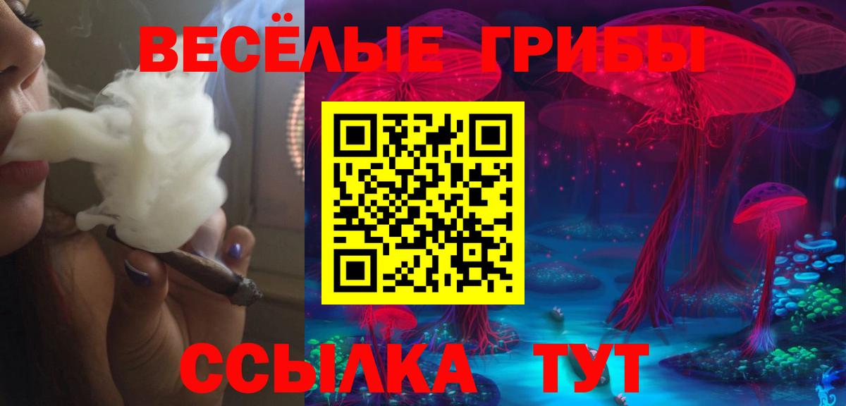 Псилоцибиновые грибы Psilocybe Кстово